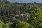 Thumbnail of 